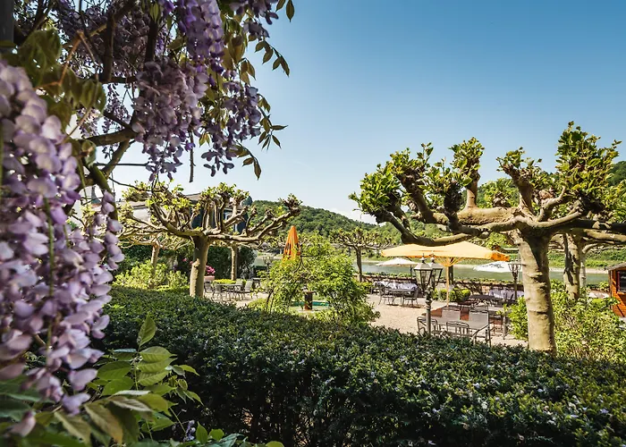 Rheinhotel Schulz Hotel Unkel